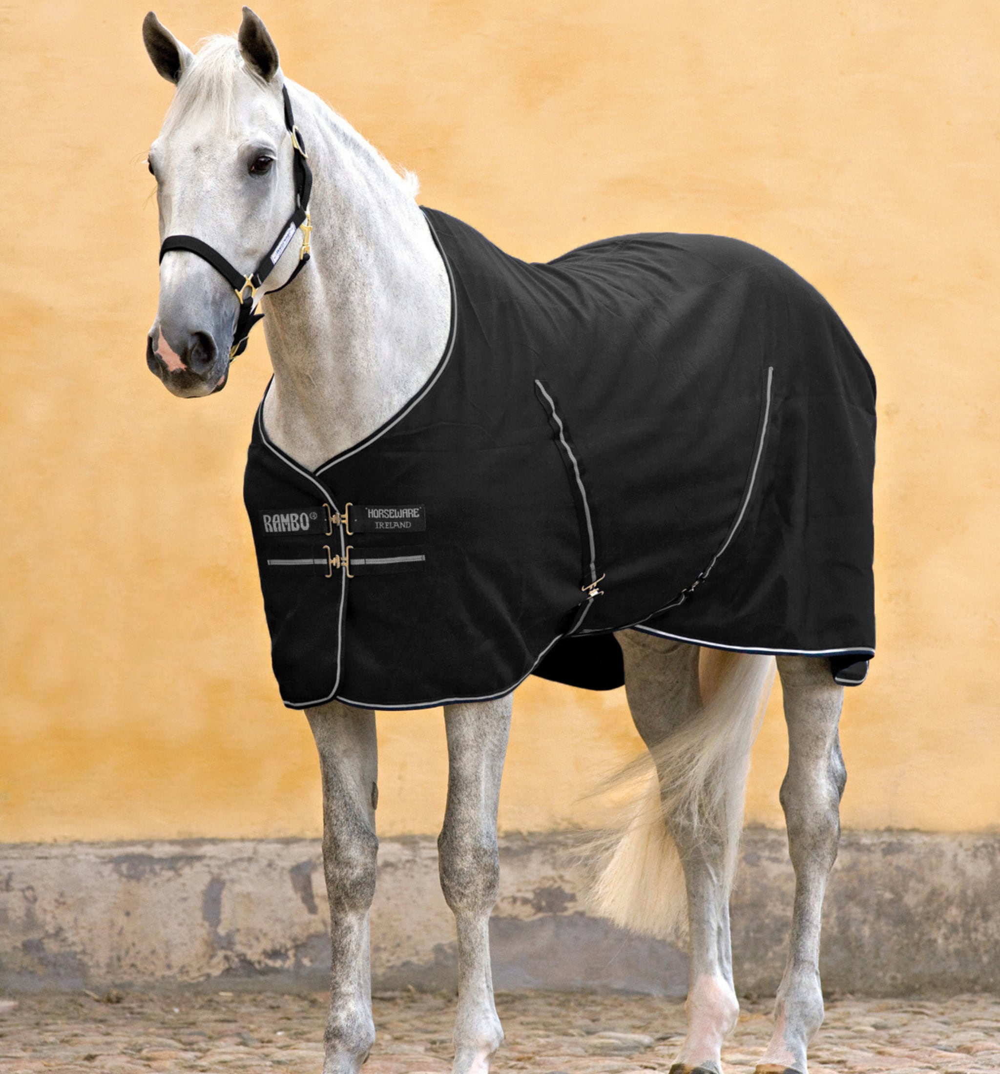 Rambo Stable Sheet - Svart