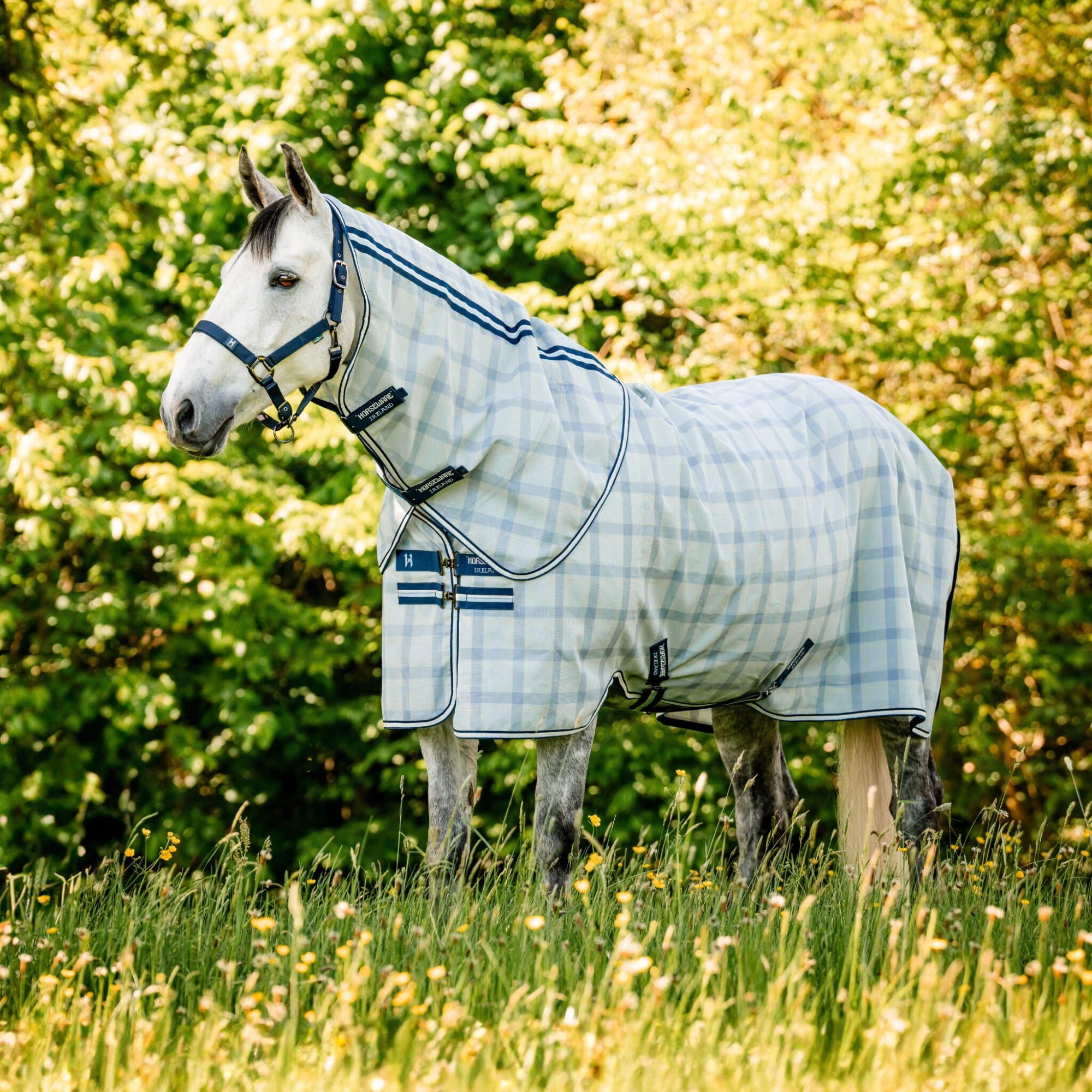 Newmarket P Fly Sheet - Witney Navy