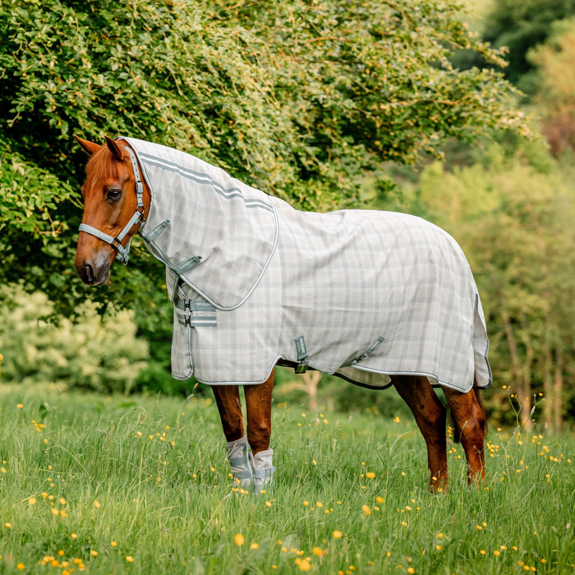 Newmarket P Fly Sheet - Witney Charcoal